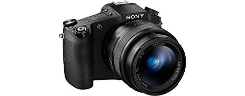 Imagen principal de Sony DSC-RX10 - Cámara compacta de 20.2 Mp (pantalla de 3, zoom ópti