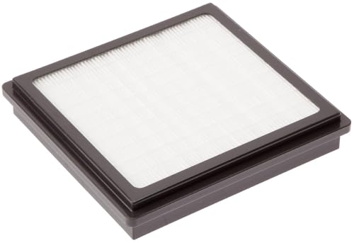 Imagen principal de Filtro HEPA Aspiradoras Nilfisk Extreme - Recambio Original (147 0180 