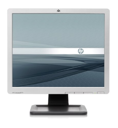 Imagen principal de HP LE1711 - Monitor (431.8 mm (17), 5 ms, 250 CD/m², 100 x 100 mm, -5