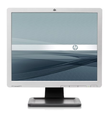 Imagen principal de HP LE1711 - Monitor (431.8 mm (17 ), 5 ms, 250 CD/m², 100 x 100 mm, -