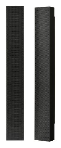 Imagen principal de NEC SP-RM1 - Altavoces (Mesa/Estante, Satélite, 30W, 70-25000 Hz, 8 O