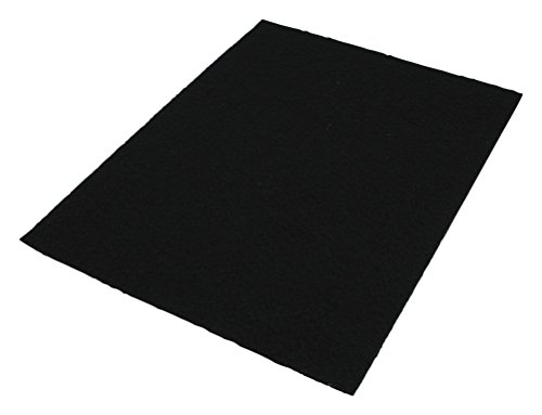 Imagen principal de Electrolux 9001660423 - Filtro para aspiradoras de trineo, color negro
