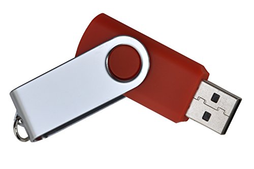 Imagen principal de aricona N°282 ARI-1 Dispositivo USB como Llavero con Capacidad de alm