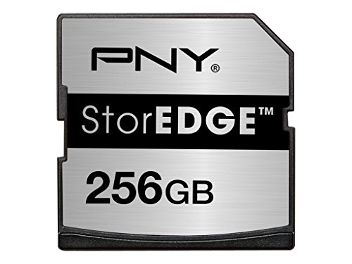 Imagen principal de PNY P-MEMEXP256U3-GE - Tarjeta de Memoria Flash 256 GB para MacBook Ai