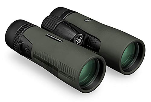 Imagen principal de Vortex Optics Diamondback Prismáticos color verde, 10x42