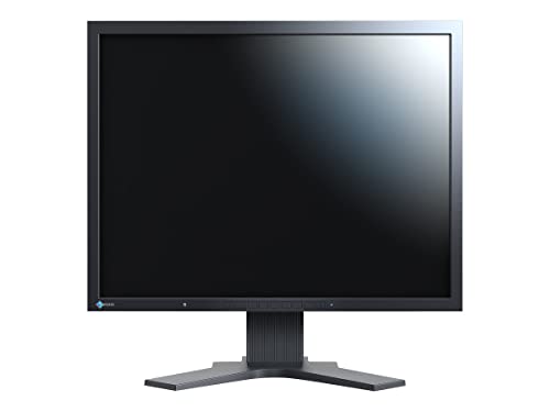 Imagen principal de Eizo S2133-BK - Monitor de 21.3 LCD (20 ms, 420 CD/m2), Color Negro