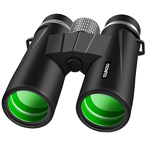 Imagen principal de YOUNGDO 10 x 42 Prismáticos Profesionales IP68 10m Impermeable BAK4 T