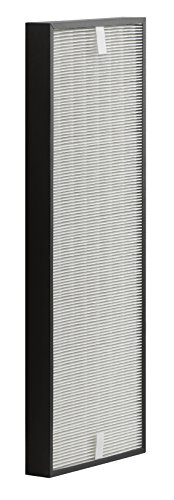Imagen principal de Rowenta XD6071F0 Hepa XXL - Filtro Recambio para Purificador Rowenta A