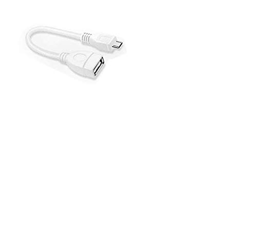 Imagen principal de YESTEL-Adaptador USB Hembra a USB 3.1 Gen 1, Blanco