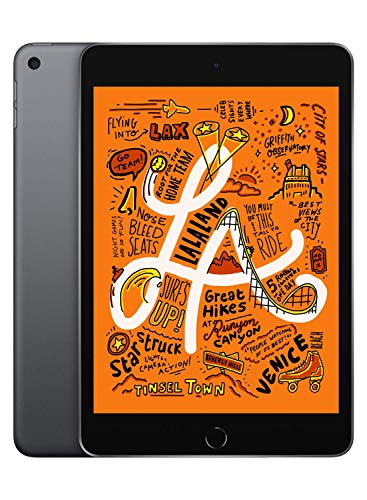 Imagen principal de 2019 Apple iPad mini (de 7,9 pulgadas, con Wi-Fi, 64 GB) - gris espaci