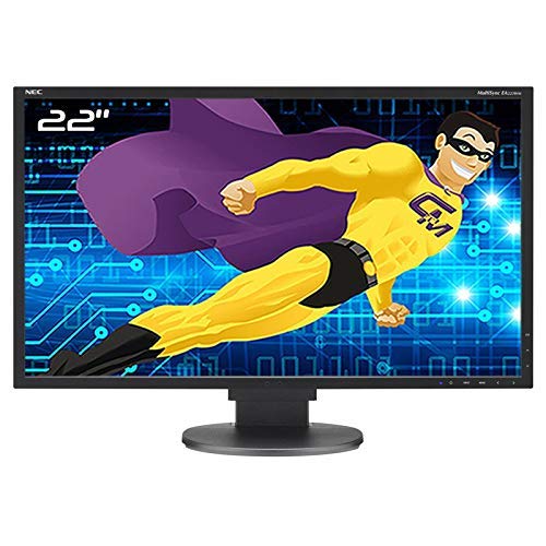 Imagen principal de NEC EA223WM L221V3 - Pantalla LED TFT VGA DVI DisplayPort (22 pulgadas