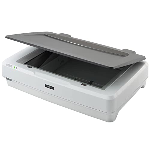 Imagen principal de Epson B11B240401, Único