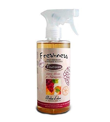 Imagen principal de BOLES D'OLOR Spray ELIMINADOR DE OLORES Entre Uvas Y NARANJOS 500ML