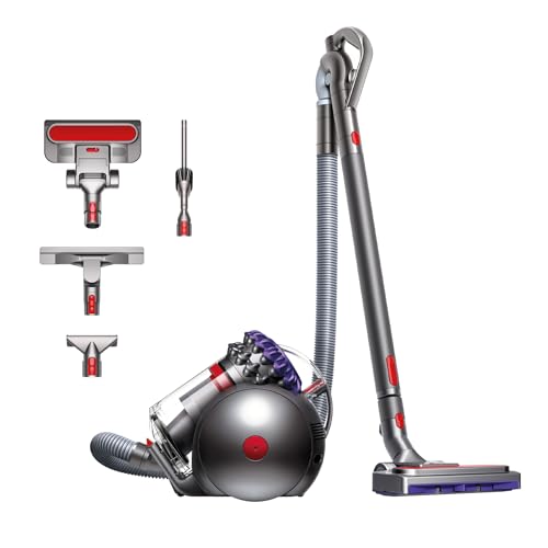 Imagen principal de Dyson Big Ball Parquet 2 aspiradora