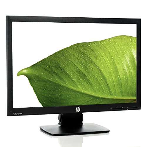 Imagen principal de HP ProDisplay P221 - Monitor de 21.5 (con tecnología LED)