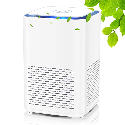 Imagen principal de QUARED Purificador de Aire Portátil con Filtro HEPA, USB Filtro de Ai