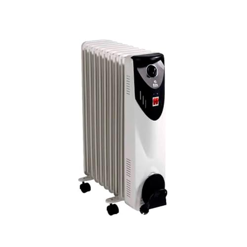 Imagen principal de FM RW-20 - Calefactor