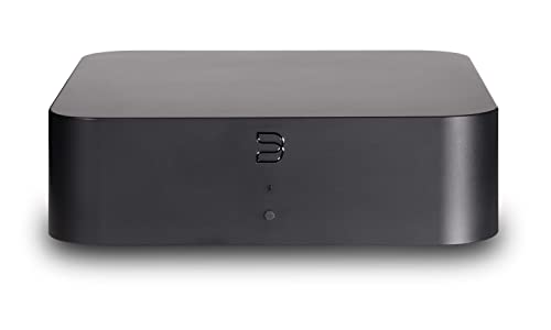 Imagen principal de Bluesound HUB (HUB)