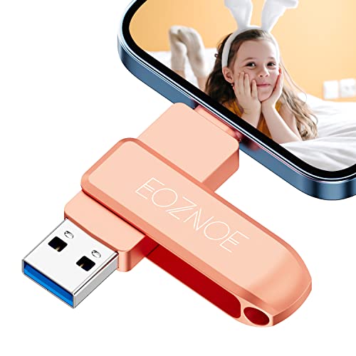 Imagen principal de EOZNOE Pendrive 64GB para iPhone, Memoria USB iPhone para Sin Aplicaci