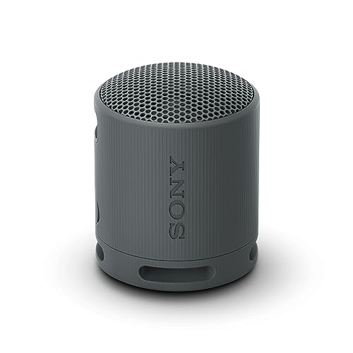 Imagen principal de Sony Altavoz Bluetooth SRS-XB100, Ligero, Compacto, Altavoz Resistente