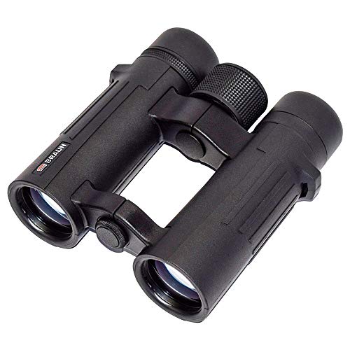 Imagen principal de Braun 8 x 34 WP Compagno prismáticos ? Negro
