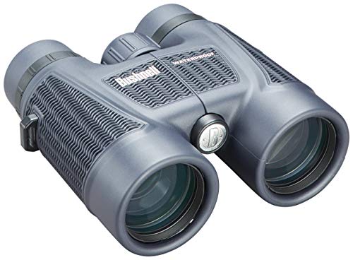 Imagen principal de Bushnell 8X42 H2O Roof FULLSIZE 2012 Prismáticos, Black