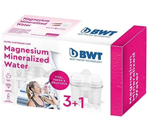 Imagen principal de BWT 814334 - Pack de 3 + 1 Cartuchos filtrantes