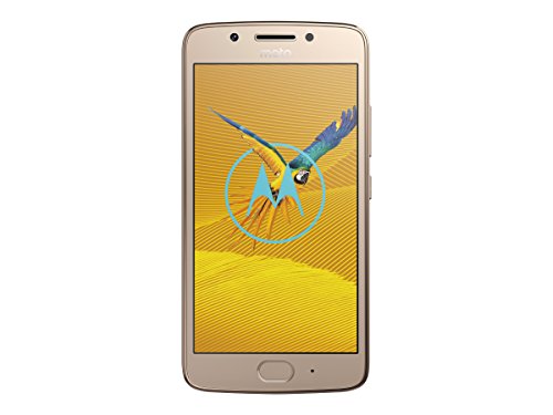 Imagen principal de Lenovo Moto G G5 4G 16GB Oro - Smartphone (12,7 cm (5), 16 GB, 13 MP, 