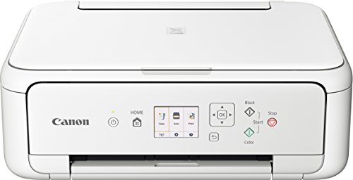Imagen principal de Canon PIXMA TS5151 ? Impresora Multifunción para Uso Doméstico | Con