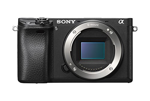 Imagen principal de Sony Alpha ILCE6300GBDI - Cámara de 24.2 MP (estabilizador de 5 Ejes,