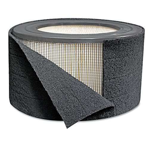 Imagen principal de Honeywell (HRF-AP1) - Purificador de aire de carbono universal prefilt