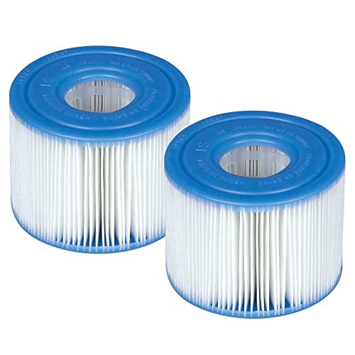 Imagen principal de Intex Pack 2 Cartuchos SPA Tipo s1 (55000)