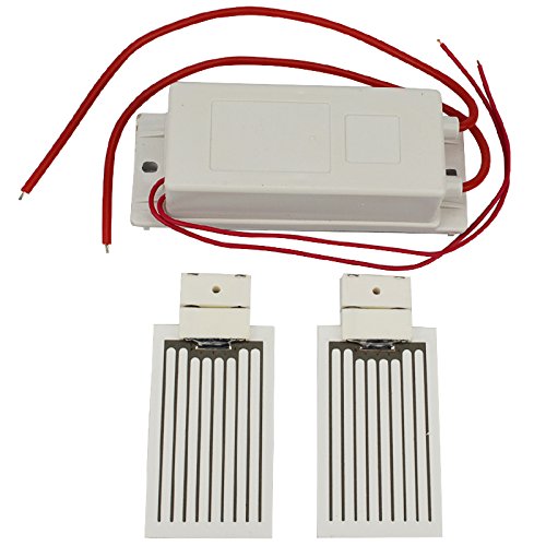 Imagen principal de ATWFS Ozone Generator 220v +2 pcsX3.5g Ceramic Plate (Ozone Generator 