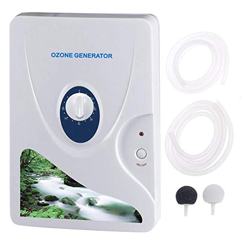 Imagen principal de WangWtry Ozonizador doméstico Digital generador de ozono ionizador pu