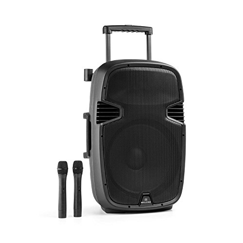 Imagen principal de Malone Bushfunk 45 altavoz activo (900 W, Bluetooth, batería, puerto 
